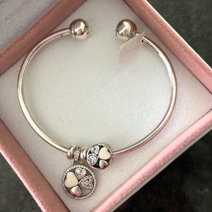 Pandora bracelet with 2 charms